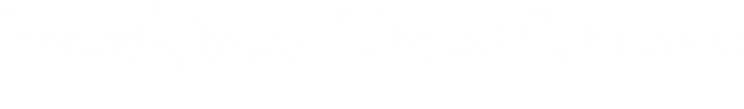 Excited crowd at a Fusion Events live entertainment event